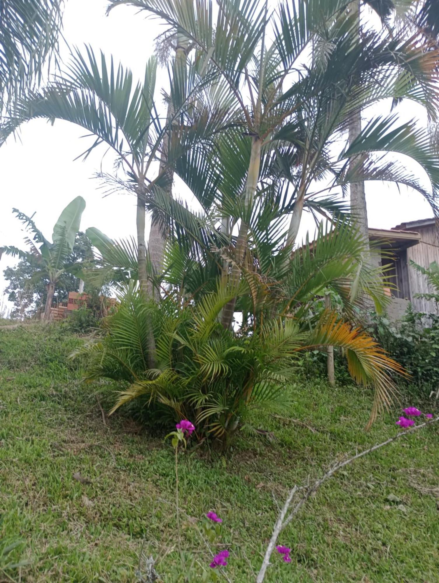 Familia Cataneo Villa Lauro Muller Buitenkant foto
